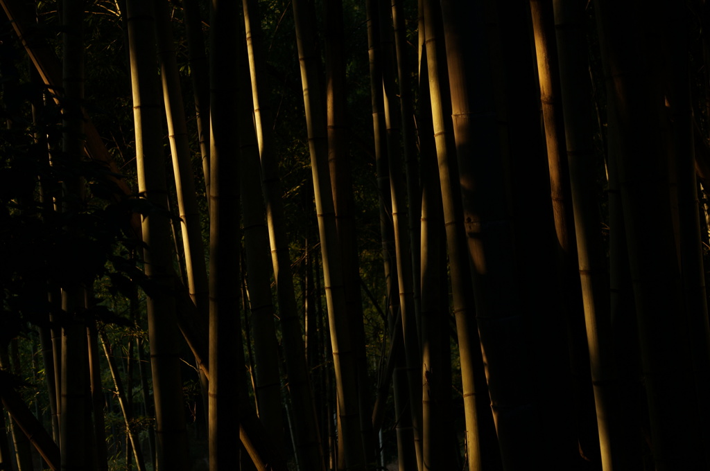 rokkorMD50mmF1.4