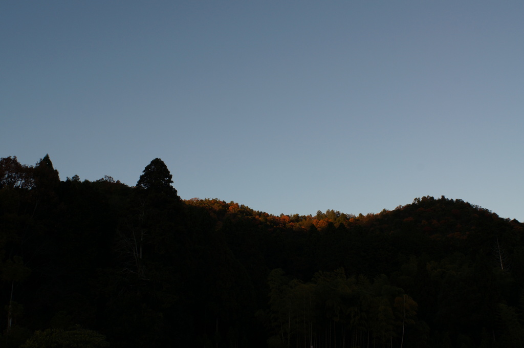 PENTAX55mmF1.8