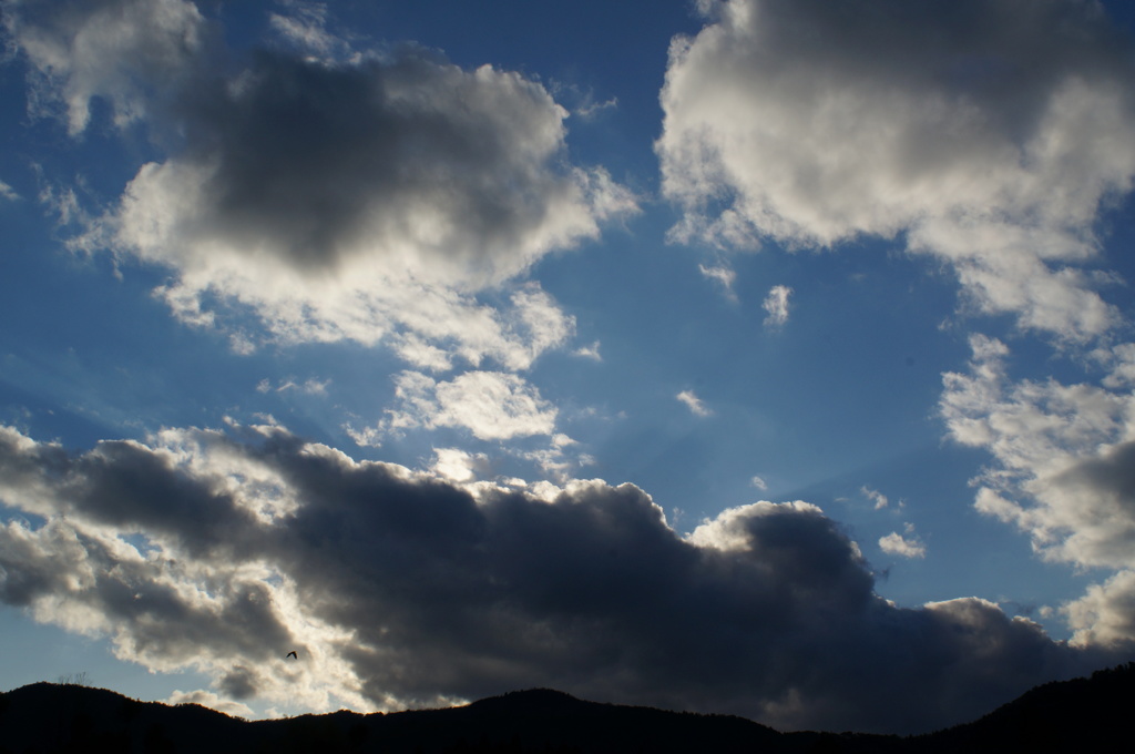 rokkorMD24mmF2.8