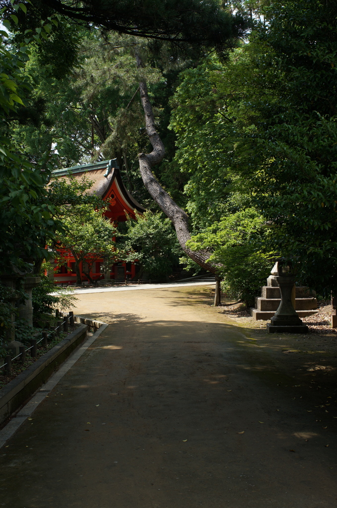 ５月