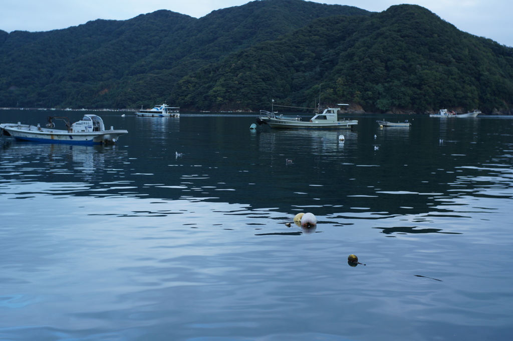 常神半島