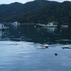 常神半島