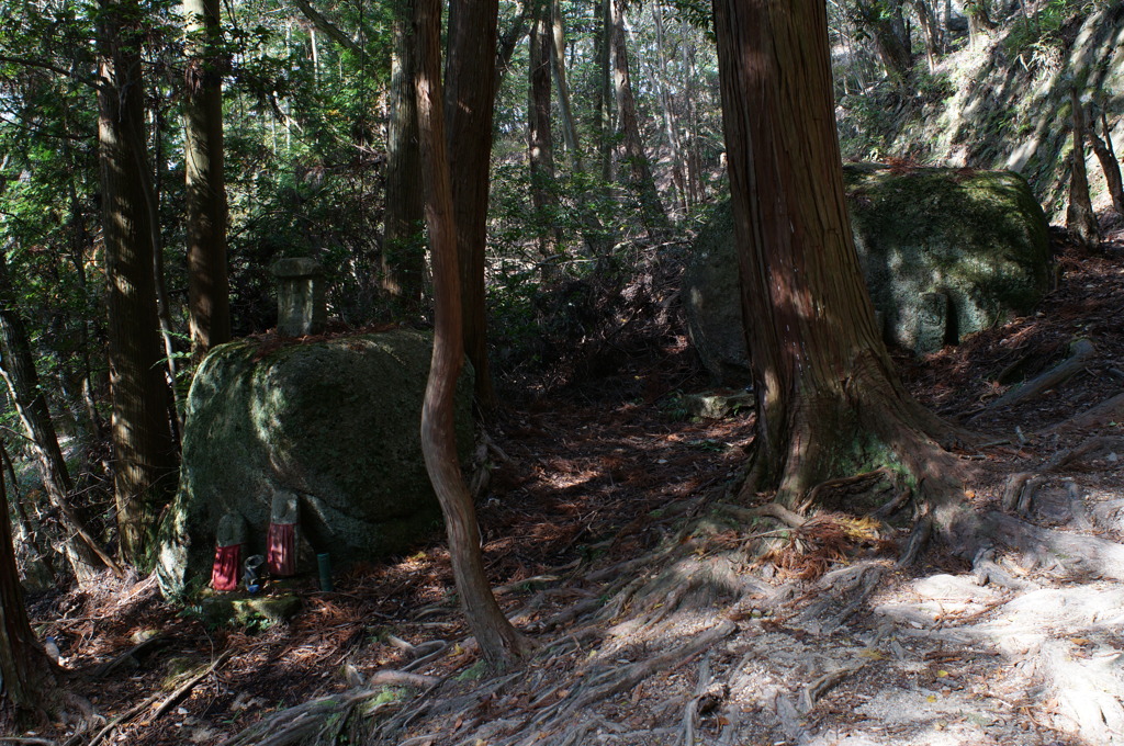 rokkorMD24mmF2.8