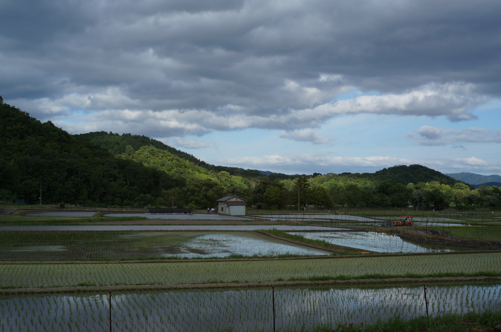 ズミクロン35mm