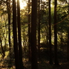 rokkorMD24mmF2.8