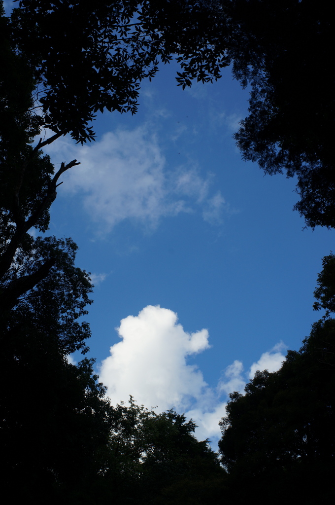 夏の穴