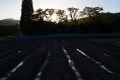 rokkor　MD24mm　F2.8