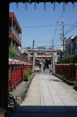 M-rokkor 40mm F2
