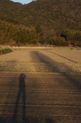 CONTAX　Carl Zeiss 　Planar T* 45mm F2
