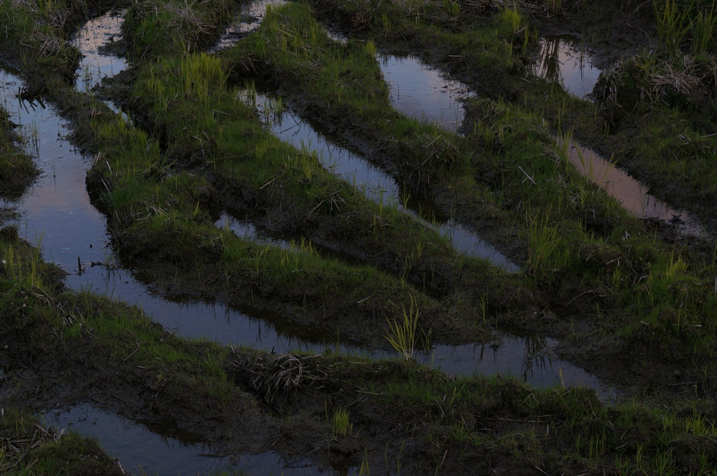 PENTAX55mmF1.8