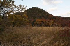 rokkorMD24mmF2.8
