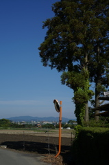子どもの頃