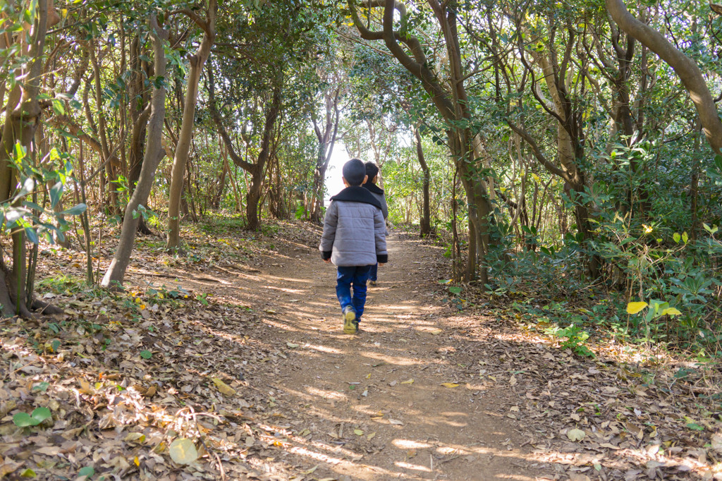 秘密のトンネル