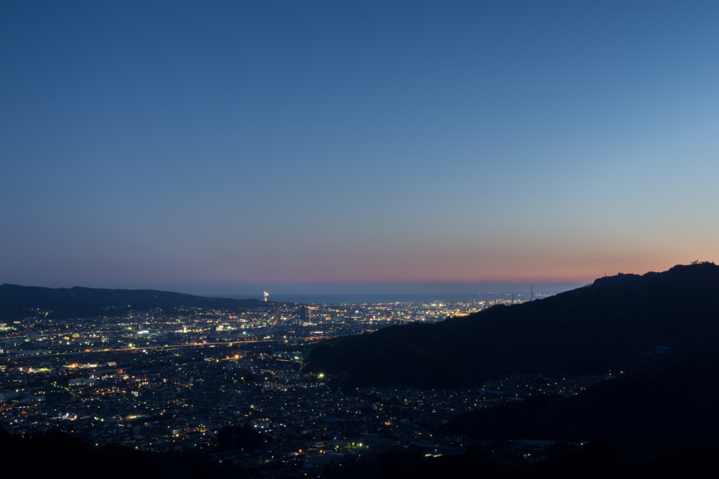 ワニの夜景