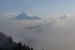 雲海富士山