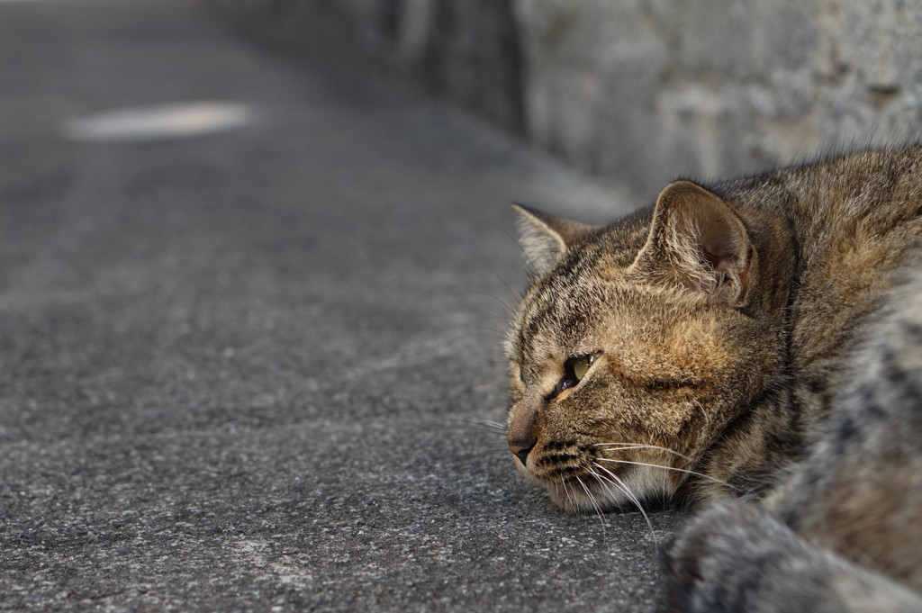 眠い