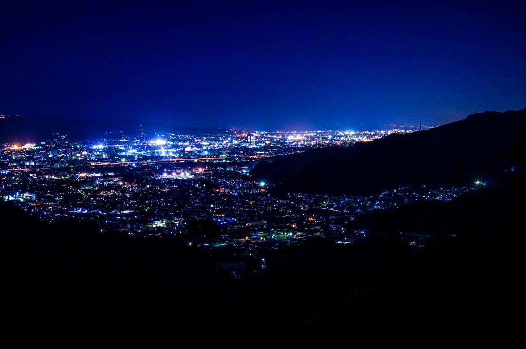 わにの夜景