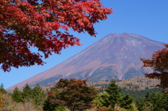 富士山1合目くらいのところです
