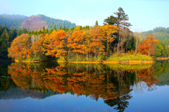 二ツ井の紅葉