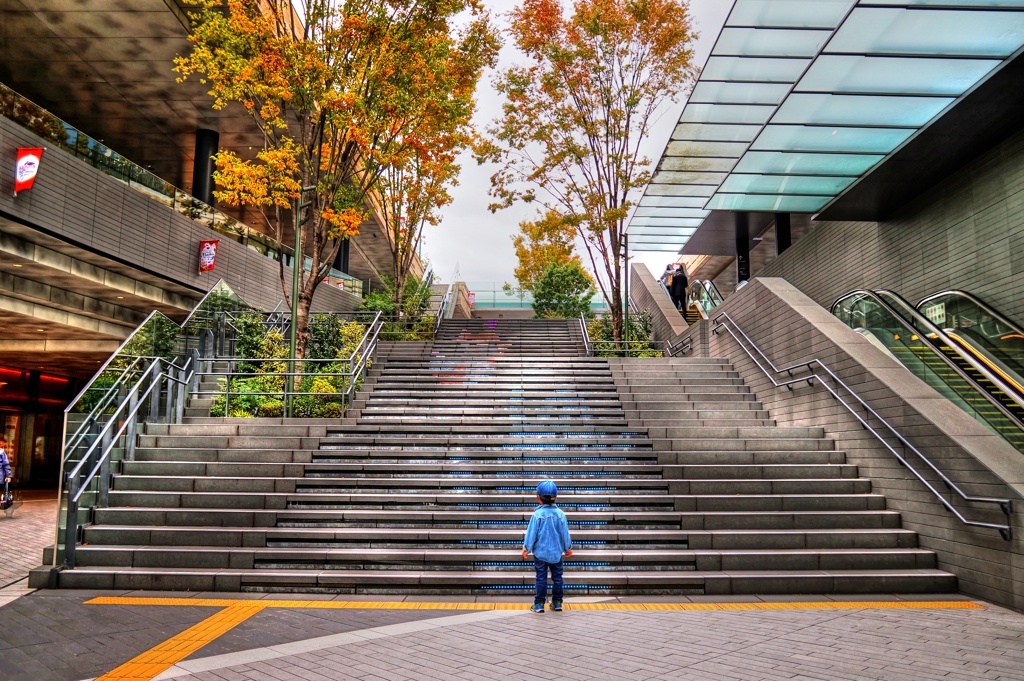 二子玉川  続編　（ニコタマの秋… 一人占め）