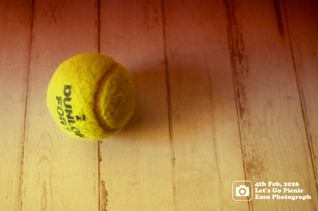 2026・02・04 Wed,春は早そう 01