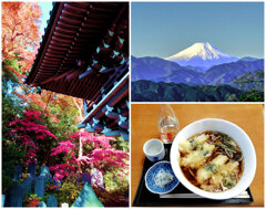 2024・11・30 Sat, 高尾山の紅葉を2枚ほど　その1