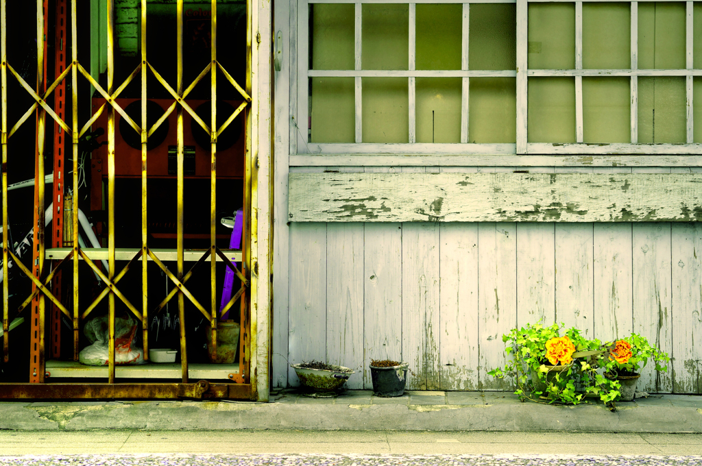 8月1日梅雨があけて： シグマ 60mm F2.8 DN 撮影例