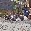 パチリ 途中下写（5月2日） 南秋葉原 07