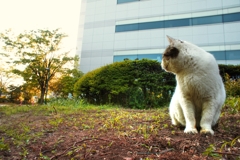 5月5日のお帰りチャイムは…02