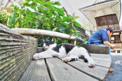 Summer Fish Eye…01