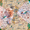 地図の歩き方（猫：バージョン）