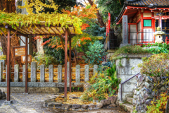 目黒不動尊 瀧泉寺 04