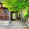 そうだ～豪徳寺へ行こう♪　03