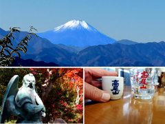 2025・11・17 Mon, 晩秋の高尾山登頂