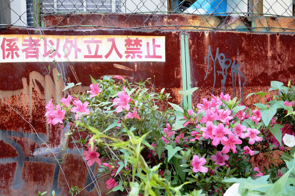 alleyway wo… 路地(横町)を…07