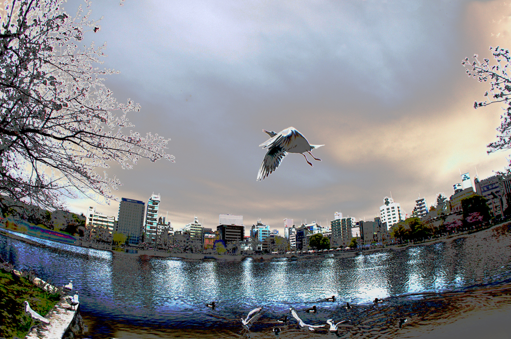 2016_cherry_blossom_viewing_ueno_09