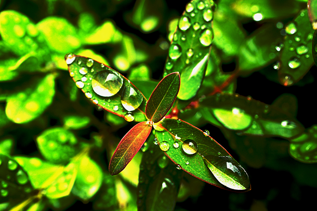 2300_ps_DSC02403