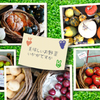美味しい お野菜いかがですか?!