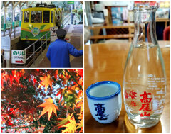 2024・11・30 Sat, 高尾山の紅葉を2枚ほど　その2
