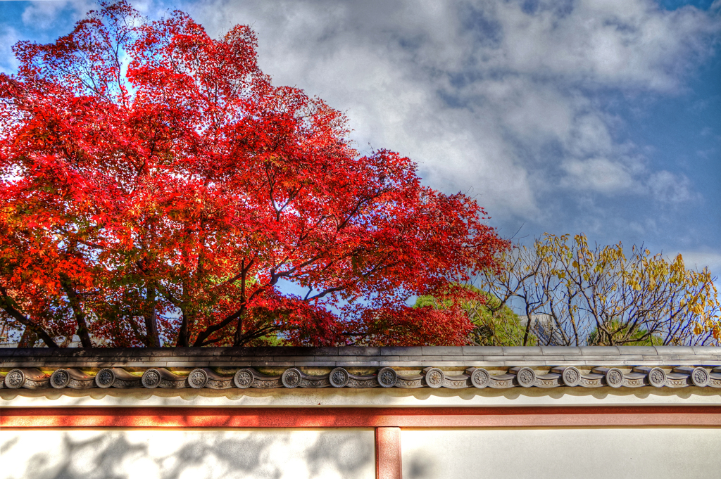 目黒不動尊  瀧泉寺 01 