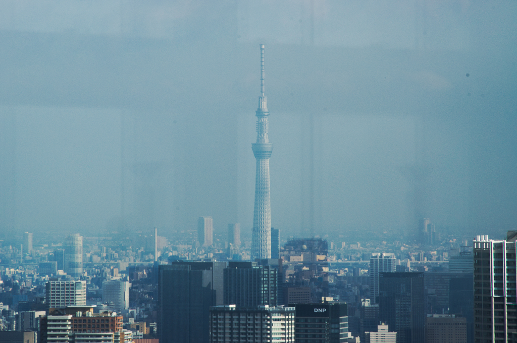 都庁展望台よりskytree