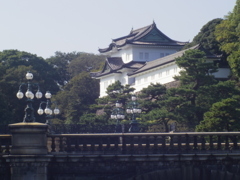 皇居のとこ