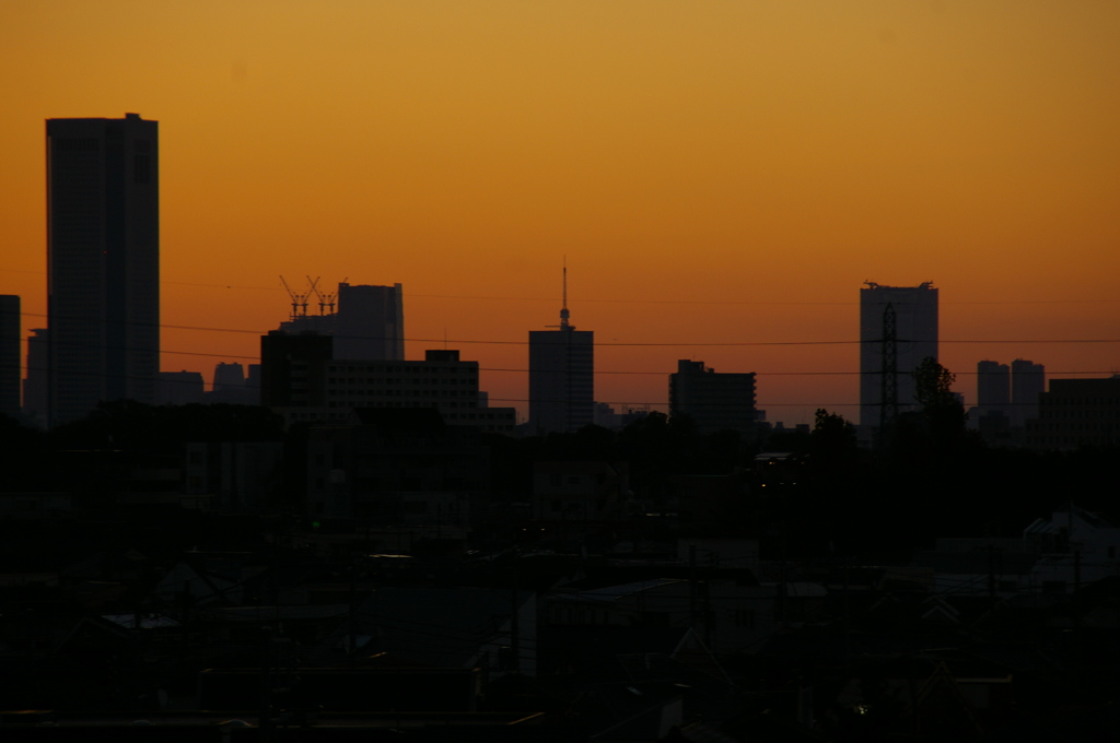 ドーン・オブ・ザ・東京