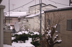 東京は雪が…家の窓から