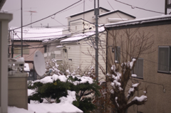 東京は雪が…家の窓から