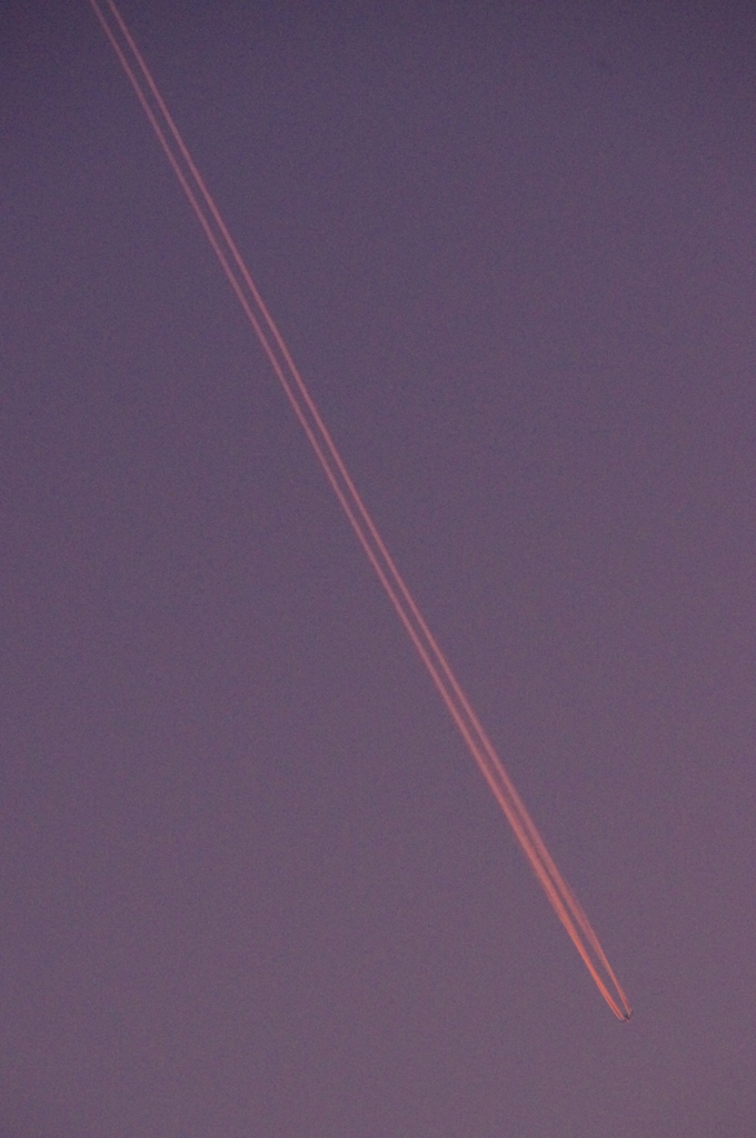 しゃ斜者社射って