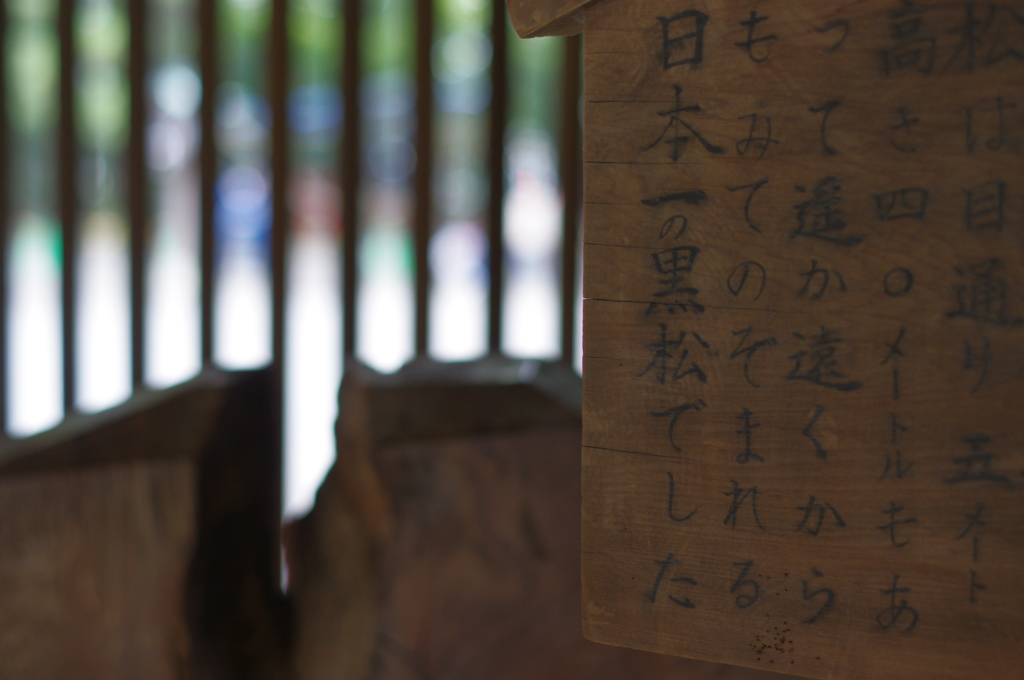 井草八幡の日本一