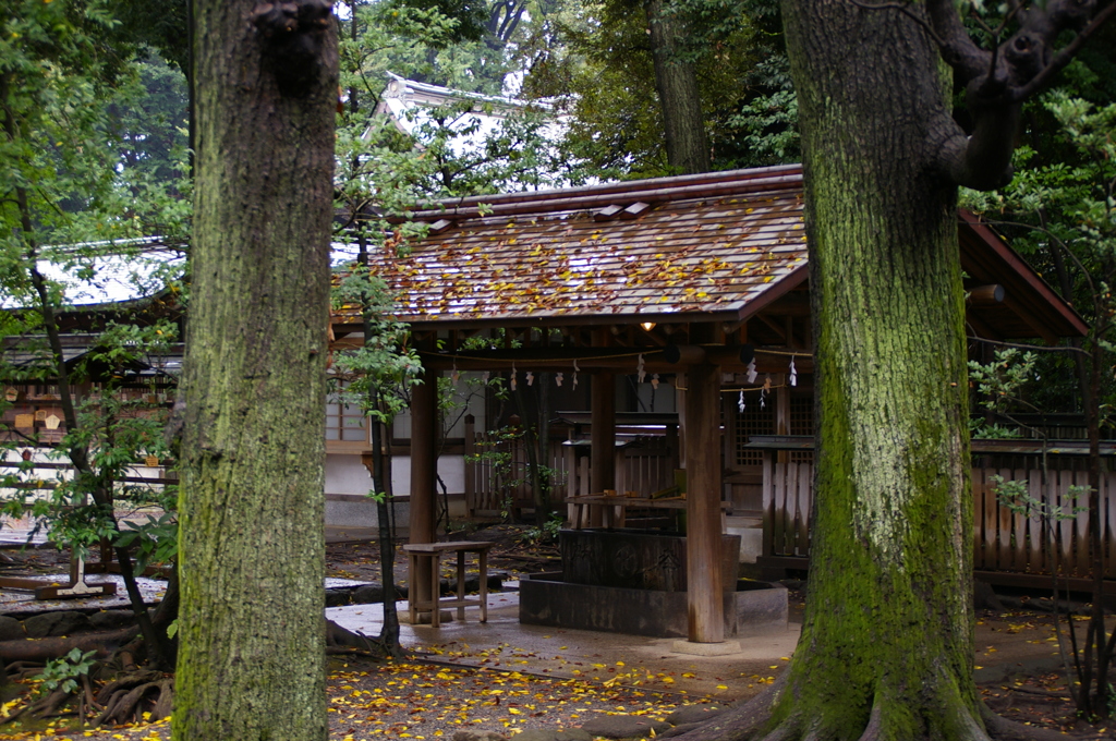 井草八幡（お清め場）
