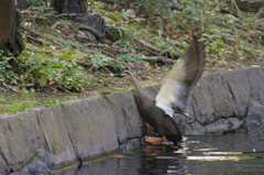 ダイナミック着地失敗