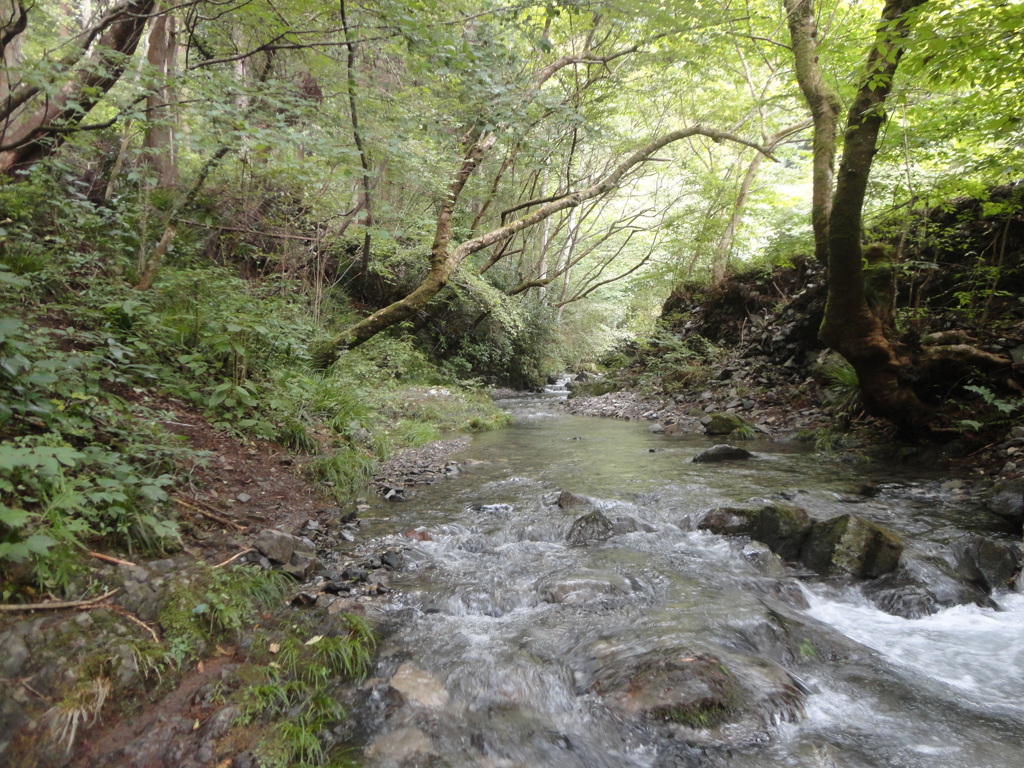 山の沢